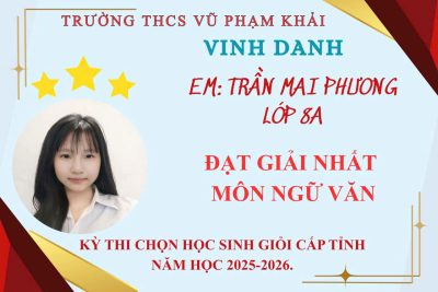 VINH DANH HỌC SINH GIỎI CẤP TỈNH NĂM HỌC 2025-2026 TRƯỜNG THCS VŨ PHẠM KHẢI